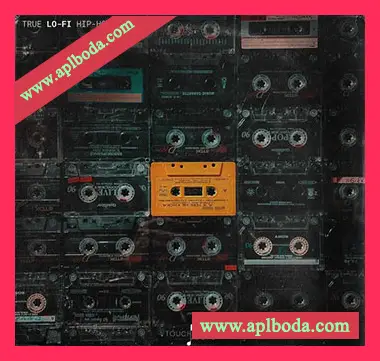[低保真嘻哈说唱采样]Touch Loops True Lo-Fi Hip Hop [WAV]（470Mb）