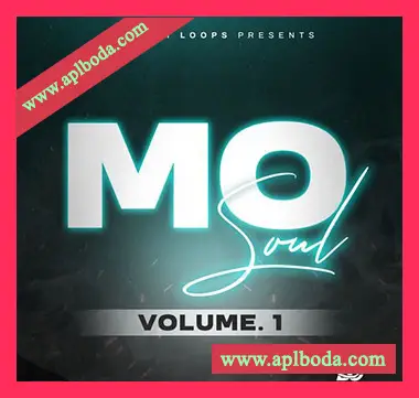 [灵魂RnB采样]Big Citi Loops MO SOUL [WAV]（78Mb）