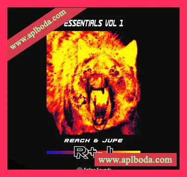 [电子舞曲Trapstep采样]Splice Sounds Reach and Jupe Essentials Sample Pack [WAV]（252Mb）