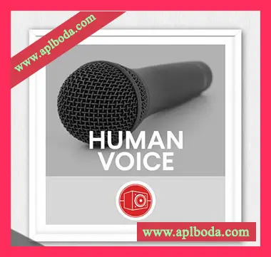 [人类声音FX采样]Big Room Sound Human Voice [WAV]（185Mb）
