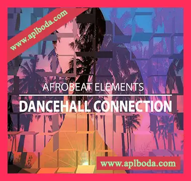 [民族浩室采样]Aux Urban Afrobeat Element Dancehall Connection [WAV]（36Mb）
