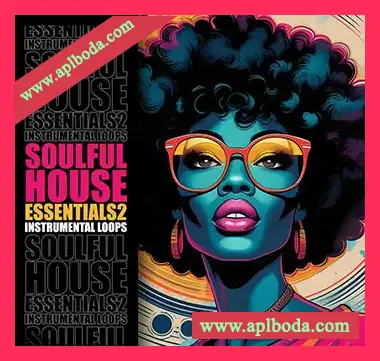 [浩室采样]Loopoholics Soulful House Essentials 2 Loops [WAV]（679.08Mb）