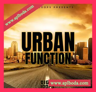 [灵魂都市RnB放克采样]Big Citi Loops Urban Function [WAV]（55Mb）