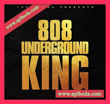 [嘻哈说唱808采样]Loops 4 Producers Hip Hop 808 [WAV]（53Mb）