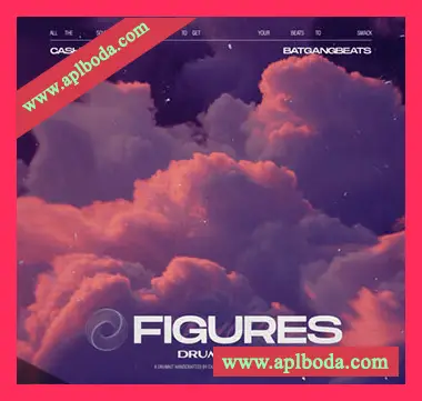 [嘻哈说唱鼓组素材]CashMoneyAp Figures (Drum Kit) [WAV, MiDi]（96Mb）