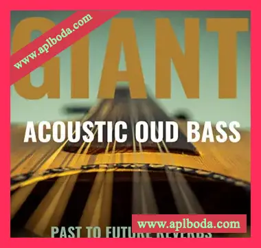 [原声无品贝斯采样音源]PastToFutureReverbs Giant Acoustic Round-Back Fretless Bass [KONTAKT, WAV]（576Mb）