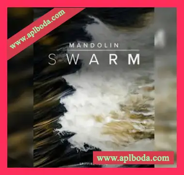 [吉他民族弦乐音源精简版]Spitfire Mandolin Swarm [KONTAKT]（734Mb）