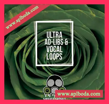 [深邃浩室人声采样]Vandalism Ultra Ad-Libs and Vocal Loops [WAV]（162Mb）