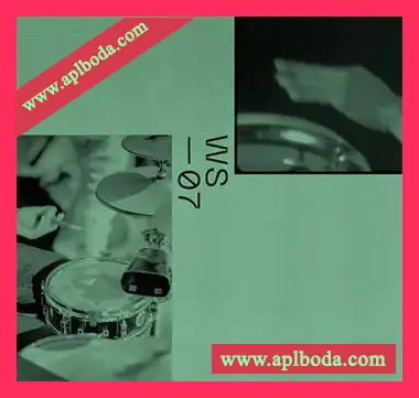 [Breaks采样]Wavetick Sounds Classic Beats and Breaks [WAV]（204Mb）