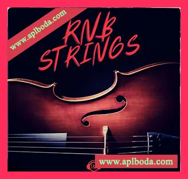 [灵魂RnB弦乐采样]Big Citi Loops RNB STRING LOOPS [WAV]（30Mb）