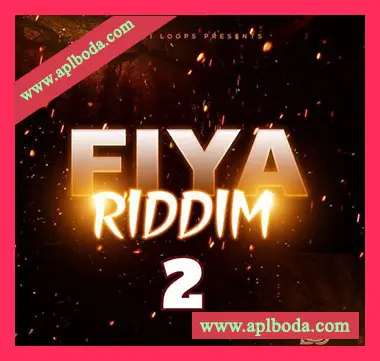 [Afrobeat非洲节奏采样]Big Citi Loops Fiya Riddim 2 [WAV]（30Mb）