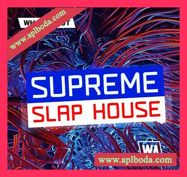 [SlapHouse素材Serum预置Ableton工程模板]WA Production Supreme Slap House（642Mb）