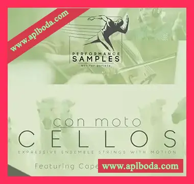 [大提琴音源]Performance Samples Con Moto Cellos [KONTAKT]（1.83Gb）