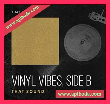 [怀旧乐采样]That Sound Vinyl Vibes – Side B [WAV]（232Mb）