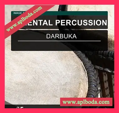 [东方打击乐采样]Image Sounds Oriental Percussion 05 [WAV]（5Mb）