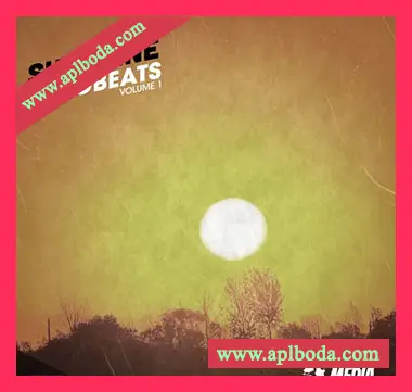 [非洲节奏采样]New Beard Media Sunshine Afrobeats Vol.1 [WAV]（184Mb）