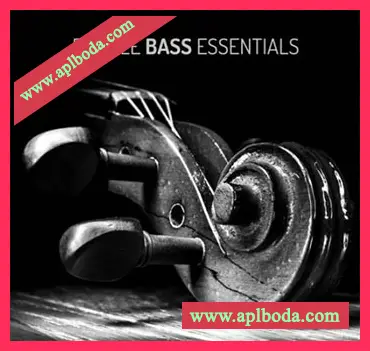 [低音提琴采样音源]SampleTraxx Double Bass Essentials [KONTAKT, WAV]（607.22Mb）