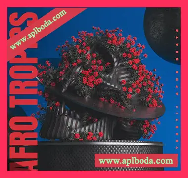 [非洲节奏采样]Sephxya Studios Afro Tropics [WAV]（161Mb）