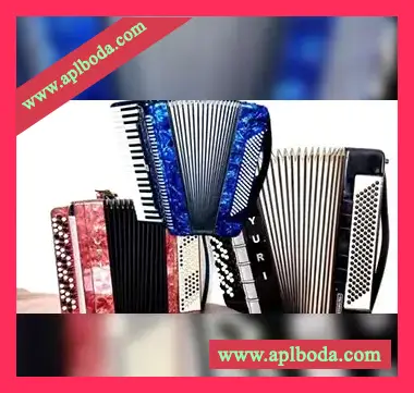 [教程]Udemy Accordion for complete beginners. BOOK 1（1.47Gb）