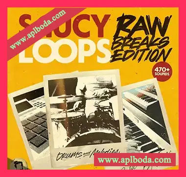 [Breaks鼓组采样]Tane Saucy Loops Raw Breaks Edition [WAV]（769Mb）