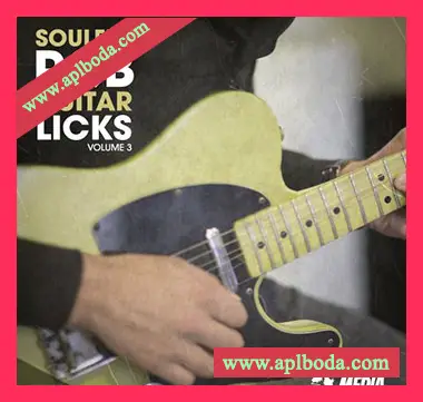[嘻哈RnB吉他采样]New Beard Media Soulful RnB Guitar Licks Vol.3 [WAV]（120Mb）