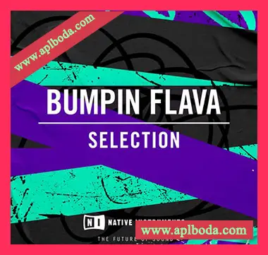 [浩室采样]Native Instruments Bumpin Flava [WAV]（45Mb）