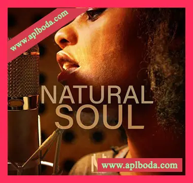 [灵魂RnB采样]Undisputed Music Natural Soul [WAV]（54Mb）