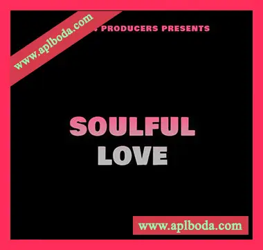 [灵魂RnB采样]Loops 4 Producers Soulful Love [WAV]（13Mb）