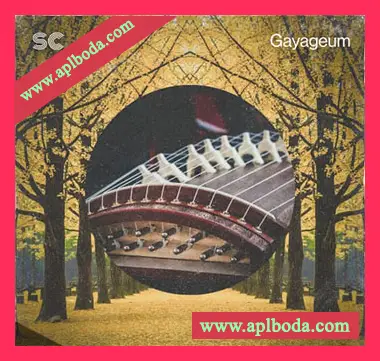 [弹拨古筝伽倻琴采样]Sonic Collective Gayageum [WAV]（329Mb）