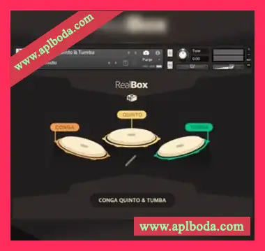 [打击乐音源]RealBox Conga Quinto and Tumba v1.0 [KONTAKT]（14Mb）