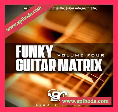 [放克现场吉他采样]Big Citi Loops Funky Guitar Matrix Vol.4 [WAV]（28Mb）
