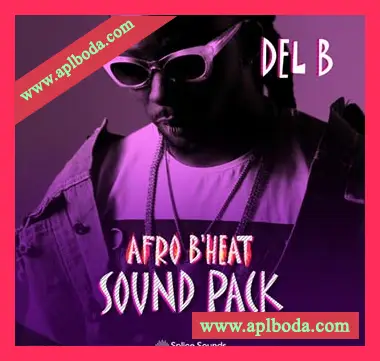 [Pop流行采样]Splice Sounds Del B Afro B Heat Sound Pack [WAV]（127Mb）
