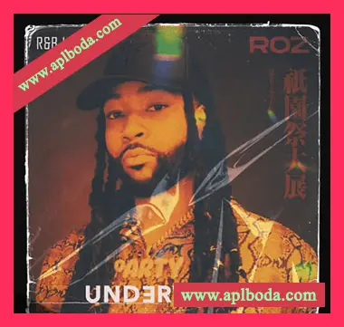 [RnB采样]Rozbeats Underworld RnB Loopkit Vol.1 [WAV]（365Mb）