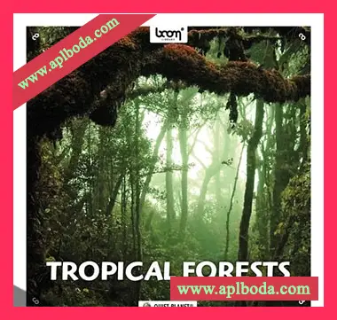 [热带森林大自然虫鸣鸟叫环境音效素材]Boom Library Tropical Forests [WAV]（30.53Gb）