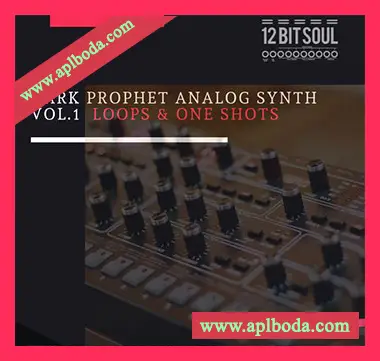 [灵魂嘻哈采样]12 Bit Soul Dark Prophet Analog Synth Vol.1 [WAV]（62Mb）