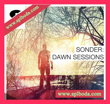 [Electronic电子乐素材]Samplephonics Sonder Dawn Sessions [多格式]（4.36Gb）