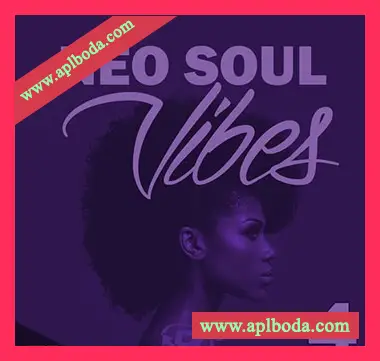 [灵魂RnB采样]Big Citi Loops Neo Soul Vibes 4 [WAV]（71Mb）
