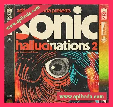 [怀旧灵魂乐采样]Hijo De Ramon Music Library 24 Sonic Hallucinations 2 (Compositions And Stems) [WAV]（772Mb）