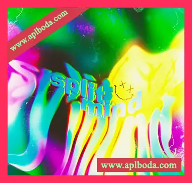 [RnB嘻哈陷阱采样]Splitmind Vol.1 Loop Kit [WAV]（582Mb）