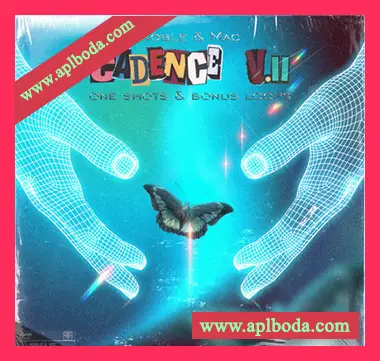 [流行嘻哈采样]Macshooter49 Cadence One Shot Kit Vol. II [WAV]（250Mb）