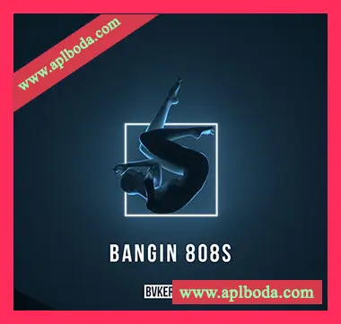 [Trap陷阱808素材]BVKER Bangin 808s [WAV, MiDi]（296Mb）