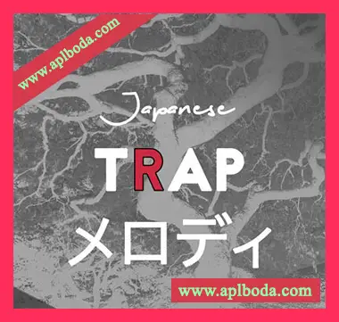 [日本嘻哈陷阱旋律采样]Whitenoise Records Japanese Trap Melodies [WAV]（27Mb）