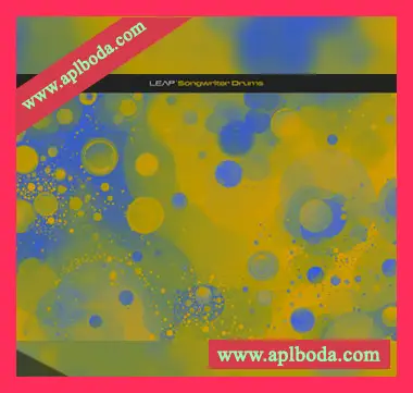 [Songwriter Drums Leap扩展音源]Native Instruments Leap Songwriter Drums v1.0.0 [KONTAKT]（439Mb）