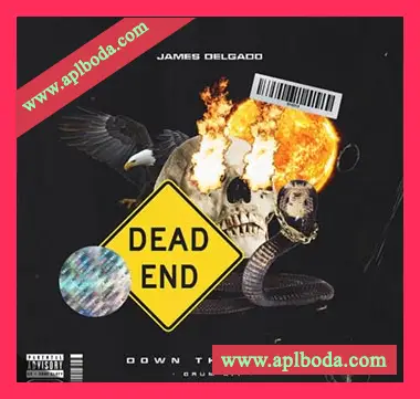 [嘻哈陷阱鼓LOOP采样]James Delgado Down The Road (Drum And Loop Kit) [WAV]（29Mb）