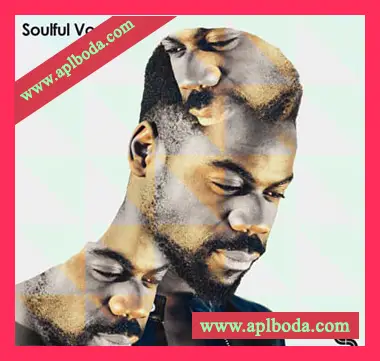 [灵魂RnB人声采样]Sample Magic Soulful Vocals 2 [WAV]（378Mb）