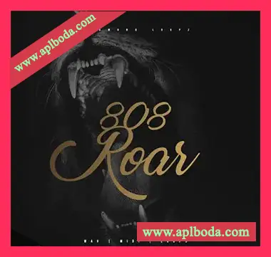 [嘻哈陷阱素材]Diamond Loopz 808 Roar [WAV, MiDi]（71Mb）