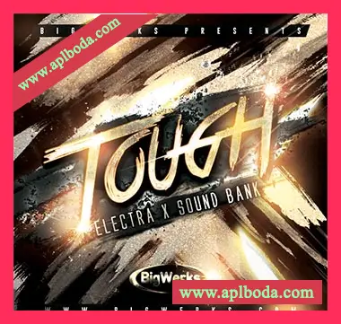 [Electra预置氛围嘻哈说唱陷阱]BigWerks Tough（4Mb）