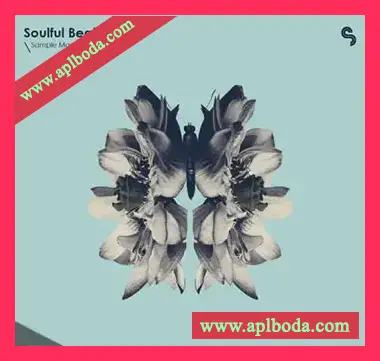 [灵魂嘻哈RnB素材Serum预置]Sample Magic Soulful Beats 2 [WAV, MiDi]（310Mb）