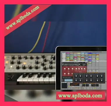 [模拟Bass素材]Puremagnetik Analog Bass Vol.3 [多格式]（973Mb）