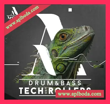 [DnB鼓打贝斯素材]Artisan Audio Drum and Bass Tech and Rollers [多格式]（214Mb）